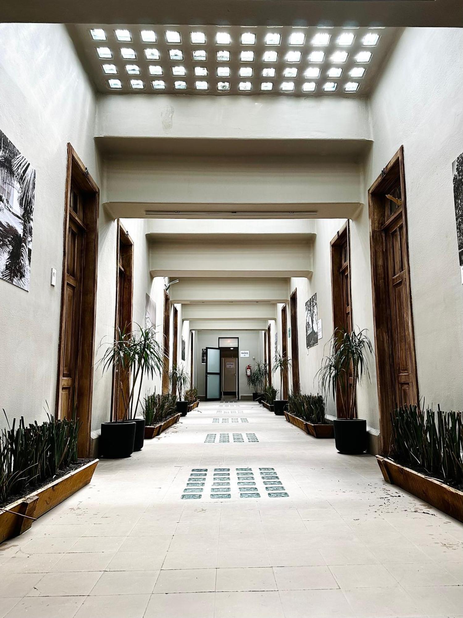 Frontera 49 Roma Norte Hostal Mexico By Eksteriør billede